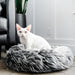 white short-haired cat sitting on Fluffi grey pet bed in front of black leather chair.