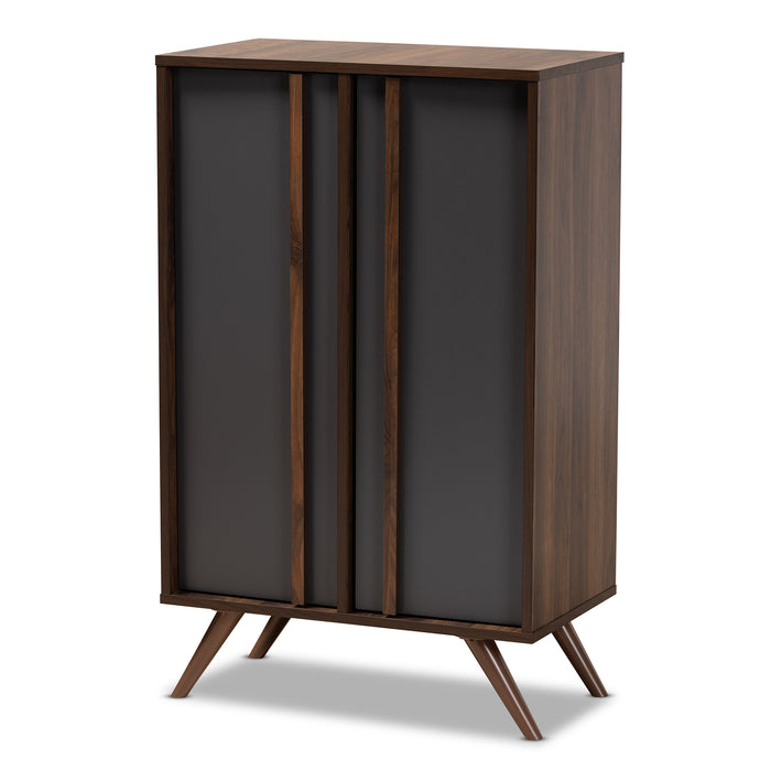 Naoki Modern (2-Door) Wood Shoe Cabinet
