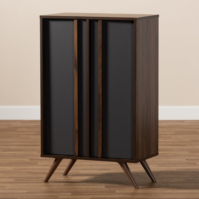 Naoki Modern (2-Door) Wood Shoe Cabinet
