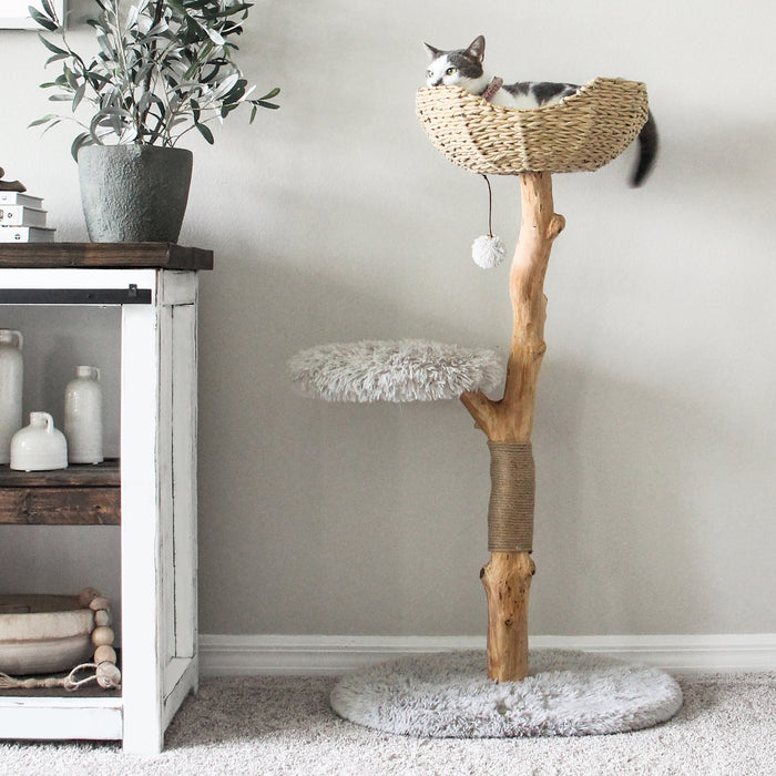 Uni W/ Basket Cat Tree