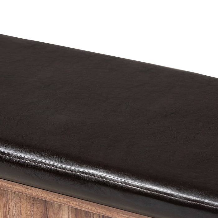 Valina Contemporary (2-Door) Leather Storage Bench