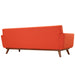 Sofas & Loveseats