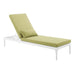 Outdoor Chaise Lounge