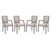 Dining Chairs