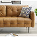 Sofas & Loveseats