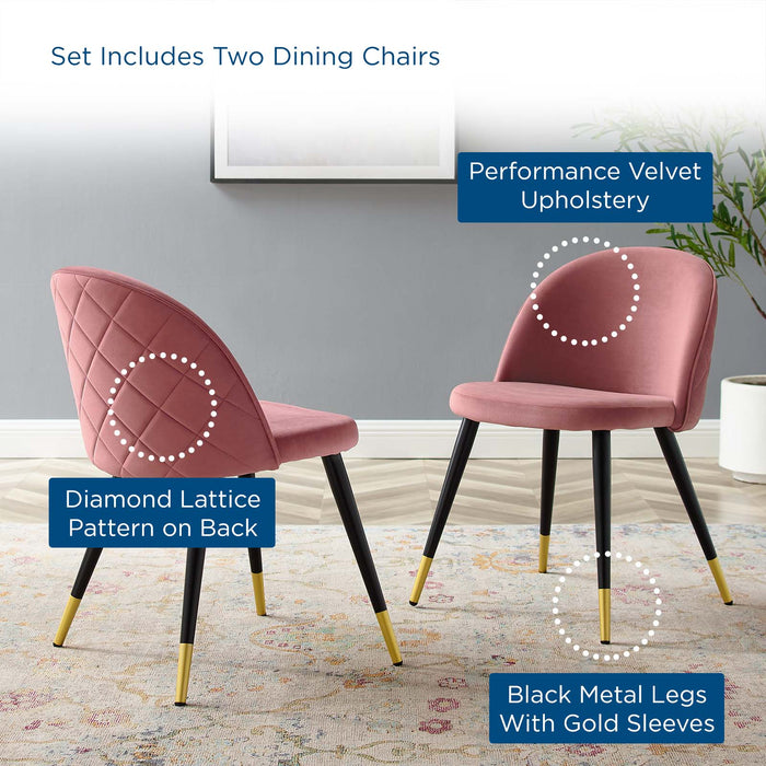 Dining Chairs