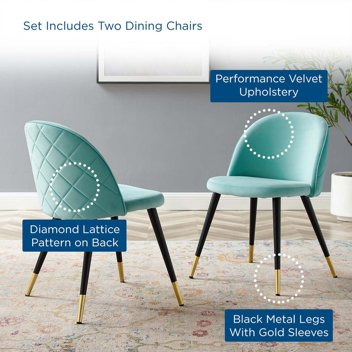 Dining Chairs