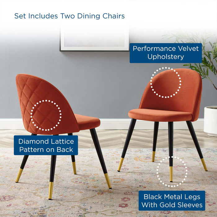 Dining Chairs